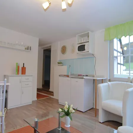 In Nahe Winterberg 公寓 施马伦贝格