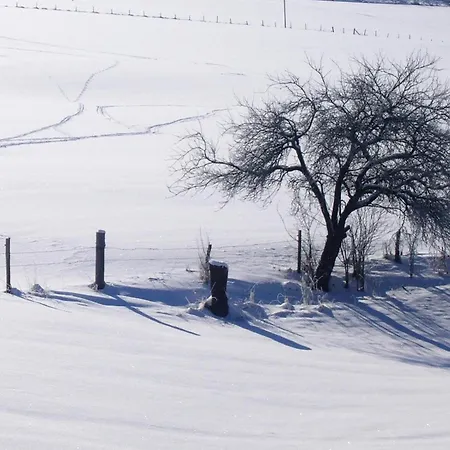 In Nahe Winterberg 公寓