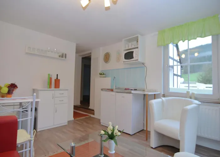 In Nahe Winterberg شقة سشمالنبرغ